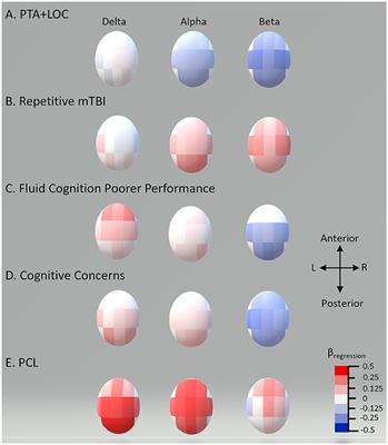 Long-term resting EEG correlates of repetitive mild traumatic brain injury and loss of consciousness: alterations in alpha-beta power